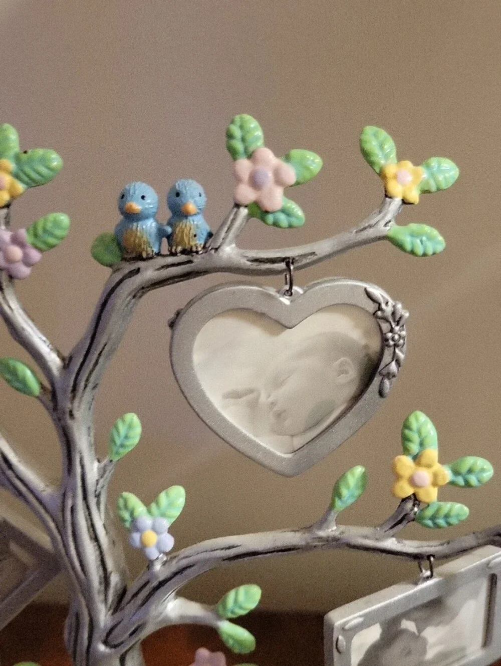 Hallmark Pastel Green and Pink Family Tree Photo Frame.